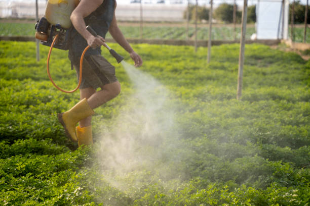 Best Ant Control Services  in Holtville, AL