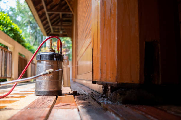 Best Affordable Pest Control Services  in Holtville, AL
