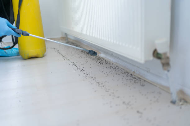 Best Pest Prevention Services  in Holtville, AL