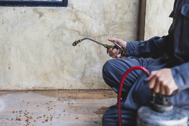 Pest Prevention Services in Holtville, AL